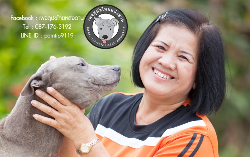 สุนัขไทยหลังอานเกรดสวยสายเลือดตราดแท้ โทร 0871763192,TRD,thairidgeback,thairidgebackdog, blue thairidgeback , red thairidgeback , ISABELLA , FEMALE , MALE, พรทิพย์เชียงรายฟาร์ม, สายเอกลักษณ์,แนะนำสุนัขไทยหลังอาน,ไทยหลังอานมีใบเพ็ดดีกรี,ซื้อหมา,ขายหมา,หมาไทย,หมาไทยหลังอาน,หมาไทยตราด,หมาหลังอานสวย,นิสัยหมาหลังอาน  ,ราคาหมาหลังอาน,  สุนัขไทยหลังอาน  ,   ขายสุนัขไทยหลังอาน  ,  ลูกสุนัขไทยหลังอาน ,  จำหน่ายสุนัขไทยหลังอาน ,  ไทยหลังอานราคา   , ไทยหลังอานนิสัย  ,    หมาไทยหลังอานแท้  ,   หมาหลังอานแท้  ,    หลังอานป้าสมคิด  ,  คอกสุนัขไทยหลังอาน   ,  ฟาร์มสุนัขไทยหลังอาน ,  หลังอานพรทิพย์ ,พรทิพย์ไทยหลังอาน,  สุนัขไทยหลังอานเชียงราย,เชียงรายไทยหลังอาน,ภาคเหนือไทยหลังอาน,ไทยหลังอานภาคเหนือ,แม่สายไทยหลังอาน  ,หลังอานแม่สาย,  สุนัขไทยหลังอานสีสวาด,สุนัขไทยหลังอานสีแดงเม็ดมะขาม,สีแดงเม็ดมะขาม,สีกลีบบัว,ขนสั้น,ขนกำมะหยี่,อานโบว์ลิ่ง,อานใบโพธิ์,อานเทพพนม,อานเข็ม,อานพิณ,มุมขาสุนัข,เส้นหลัง,ลิ้นดำ,เล็บดำ,ตาดำ,ฟันสุนัข,ขวัญที่อาน,สุนัขเฝ้าบ้าน,สุนัขขนาดกลาง,ฝึกสุนัข,ไทยหลังอานสายตราด,ไทยหลังอานจันทบุรี,ไทยหลังอานไทยแชมป์,ประกวดสุนัขไทยหลังอาน,หาซื้อสุนัขไทยหลังอาน,สุนัขไทยหลังอานเชียงใหม่,เชียงใหม่ขายสุนัขไทยหลังอาน,อำเภอเมืองเชียงรายขายสุนัข,สุนัขไทยหลังอานสายเลือดแชมป์,ไทยหลังอานพ่อพันธุ์,ไทยหลังอานแม่พันธุ์,เลี้ยงเล่น,เฝ้าสวน,สุนัขฉลาด,