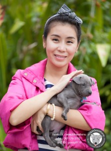 โทร 0871763192,สุนัขไทยหลังอานสายตราด,สุนัขจตุจักร,กรุงเทพฟาร์มสุนัข,ขายสุนัขกรุงเทพ,สุนัขไทยหลังอานกรุงเทพ, เชียงใหม่สุนัข,สุนัขไทยหลังอานเชียงใหม่,TRD,thairidgeback, blue thairidgeback , red thairidgeback , ISABELLA , FEMALE , MALE, Thai ridgeback dog, Ridgeback dog, Primitive, pet, puppy, Thai Dog, Mahthai, Lang ahn,พรทิพย์เชียงรายฟาร์ม, สายเอกลักษณ์,แนะนำสุนัขไทยหลังอาน,ไทยหลังอาน ,ใบเพ็ดดีกรี,ส่งสุนัข,ซื้อหมา,ขายหมา,หมาไทย,หมาไทยหลังอาน,หมาไทยตราด,หมาหลังอานสวย,นิสัยหมาหลังอาน ,วัคซีนสุนัข,แนะนำฟาร์มสุนัข ,ราคาหมาหลังอาน, ราคาถูก, สุนัขไทยหลังอาน , ขายสุนัขไทยหลังอาน , ลูกสุนัขไทยหลังอาน , จำหน่ายสุนัขไทยหลังอาน , ไทยหลังอานราคา , ไทยหลังอานนิสัย , หมาไทยหลังอานแท้ , หมาหลังอานแท้ , หลังอานป้าสมคิด, ป้าสมคิดวัชรัมพร , คอกสุนัขไทยหลังอาน , ฟาร์มสุนัขไทยหลังอาน , หลังอานพรทิพย์ ,พรทิพย์ไทยหลังอาน, สุนัขไทยหลังอานเชียงราย,เชียงรายไทยหลังอาน,ภาคเหนือไทยหลังอาน,ไทยหลังอานภาคเหนือ,แม่สายไทยหลังอาน ,หลังอานแม่สาย, สุนัขไทยหลังอานสีสวาด,สุนัขไทยหลังอานสีแดงเม็ดมะขาม,สีแดงเม็ดมะขาม,สีกลีบบัว,ขนสั้น,ขนกำมะหยี่,อานโบว์ลิ่ง,อานใบโพธิ์,อานเทพพนม,อานเข็ม,อานพิณ,มุมขาสุนัข,เส้นหลัง,ลิ้นดำ,เล็บดำ,ตาดำ,ฟันสุนัข,ขวัญที่อาน,สุนัขเฝ้าบ้าน,สุนัขขนาดกลาง,ฝึกสุนัข,ไทยหลังอานสายตราด,ไทยหลังอานจันทบุรี,ไทยหลังอานไทยแชมป์,ประกวดสุนัขไทยหลังอาน,หาซื้อสุนัขไทยหลังอาน,เชียงใหม่ขายสุนัขไทยหลังอาน,อำเภอเมืองเชียงรายขายสุนัข,สุนัขไทยหลังอานสายเลือดแชมป์,ไทยหลังอานพ่อพันธุ์,ไทยหลังอานแม่พันธุ์,เลี้ยงเล่น,เฝ้าสวน,สุนัขฉลาด,